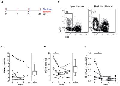 Systemic and Intra-Nodal Activation of NK Cells After Rituximab Monotherapy for Follicular Lymphoma